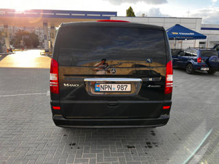 Mercedes Viano foto 11