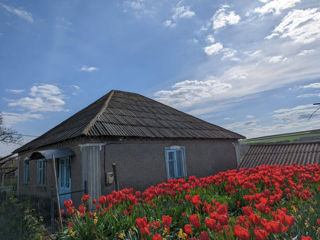 Se vinde casă , satul Hîjdieni r-ul Orhei