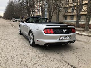 Ford Mustang foto 2