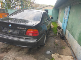 Pese e39 foto 4