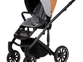Carucior Anex M/Type 2 in 1 Foxy foto 2