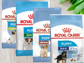 Royal Canin для щенков Есть доставка