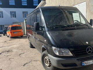 Chirie Bus,  Arenda bus foto 9
