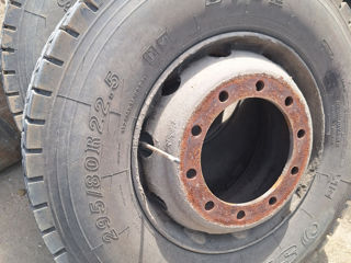 295/80 r 22.5 foto 6