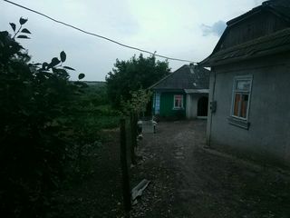 дом в селе Тырнова foto 2