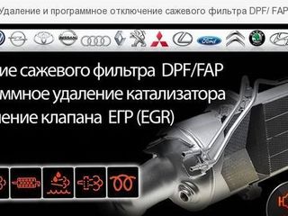 EGR DPF   удаление foto 5