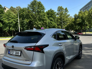 Lexus NX Series foto 4