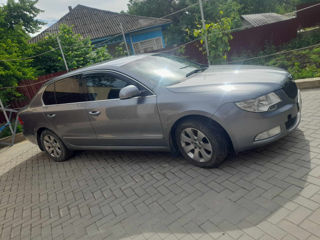 Skoda Superb фото 4