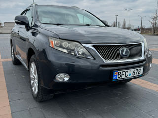 Lexus RX Series