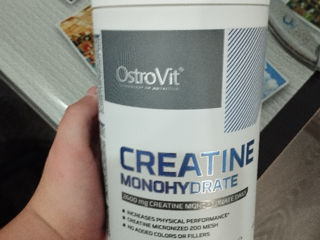 Creatine Monohidrate Mango