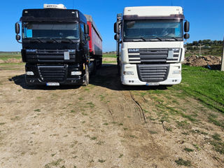 Daf XF 105.460