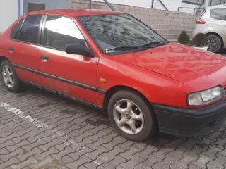 Nissan Primera foto 2