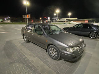 Nissan Primera foto 8