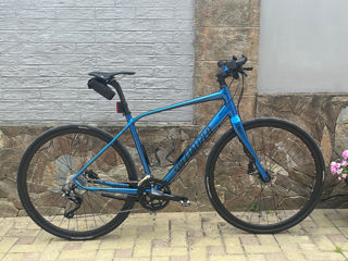 Specialized Sirrus Comp Disc