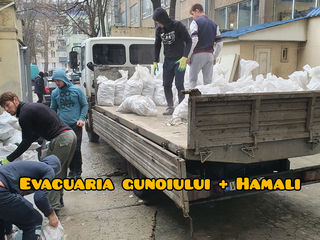 Evacuaria gunoiului & hamali foto 3