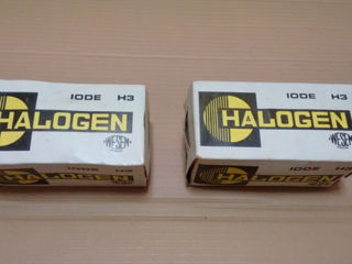 Halogen  100 E  H 3 foto 4