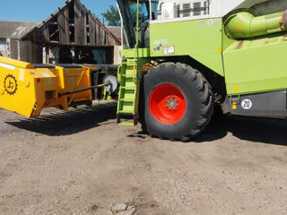 Claas Mega 360 Heder de porumb комбаин и жатка для кукурузы foto 7