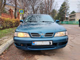 Nissan Primera foto 3