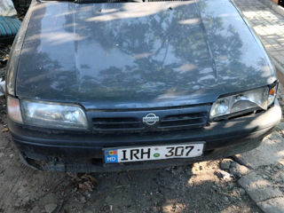 Nissan Primera foto 2