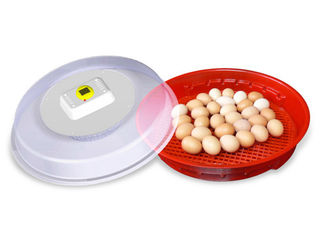 Инкубатор 70 яиц Puisor IO-102TH (термогидростат)/garantie, livrare gratuita la domiciliu foto 1
