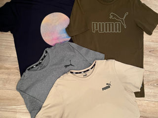 Puma foto 1