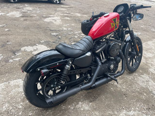 Harley - Davidson Iron 883 foto 2