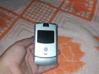 Motorola foto 1