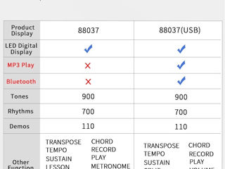 Синтезатор Portable 88037 USB, 88 клавиш, Новые, Гарантия, Бесплатная доставка по Молдове, Рассрочка foto 8