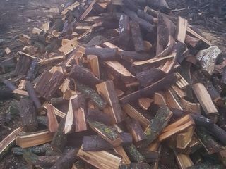 Vindem lemne de fok Speci tari Stejar Carpan Frasan (Lemn moale) Dispicate si la metru.Facem livrare foto 2