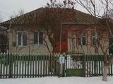 Срочно продам дом в центре г. Купчинь Молдова Единецкий район. Торг foto 9