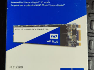 SSD Western Digital Blue SATA III  M.2 2280, SN550 NVMe HDD 3.5