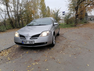 Nissan Primera foto 7