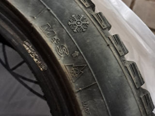 Maxiss 195/55 R16 foto 6