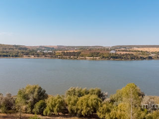 Se vinde teren Agricol în Danceni! foto 4