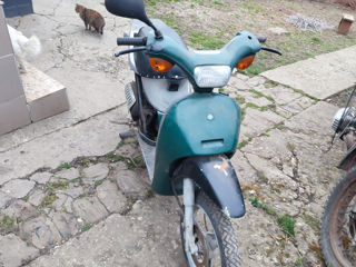 Piaggio foto 1