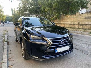 Lexus NX Series