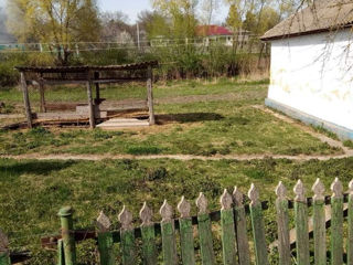 Casa in Cernoleuca фото 4