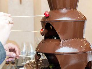 Havuz de ciocolata p/u petrecerea Ta..Шоколадный фонтан для твоего торжества.