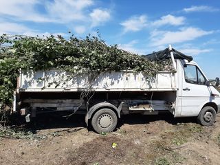 Transport de marfuri: Mutari oficii si locuinte,  Evacuare gunoi, Transportare material de construct