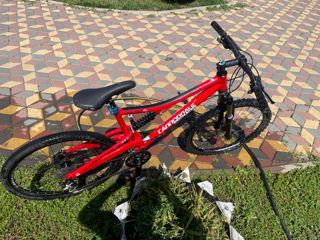 Mtb ideal