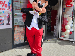 Mickey și Minnie Mouse / Микки и Минни маус аниматоры / animatori mascote Moldova foto 5