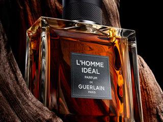 Vand Guerlan LHOMME IDEAL