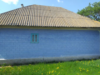 Casa in satul  Popestii  de  Jos  - R-NUL Drochia foto 4