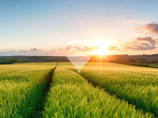 Teren Agricol de Vânzare - 12 Hectare în Măgurele, Ungheni foto 8