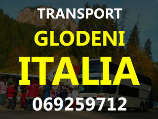 Transport pasageri Moldova-Italia din tot Nordul Moldovei !!! foto 6