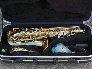 Saxofon Alto Trevor J.James & Co The Horn Revolution II foto 6