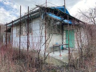 Продаю дачу рядом с с.Балцата Криулянского района. 15 км. от Кишинева. foto 5
