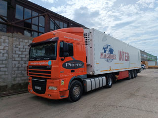 Daf DAF XF105