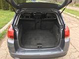 Opel Signum foto 9