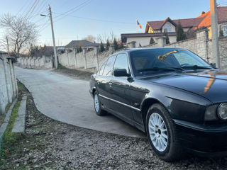 BMW 5 Series foto 3